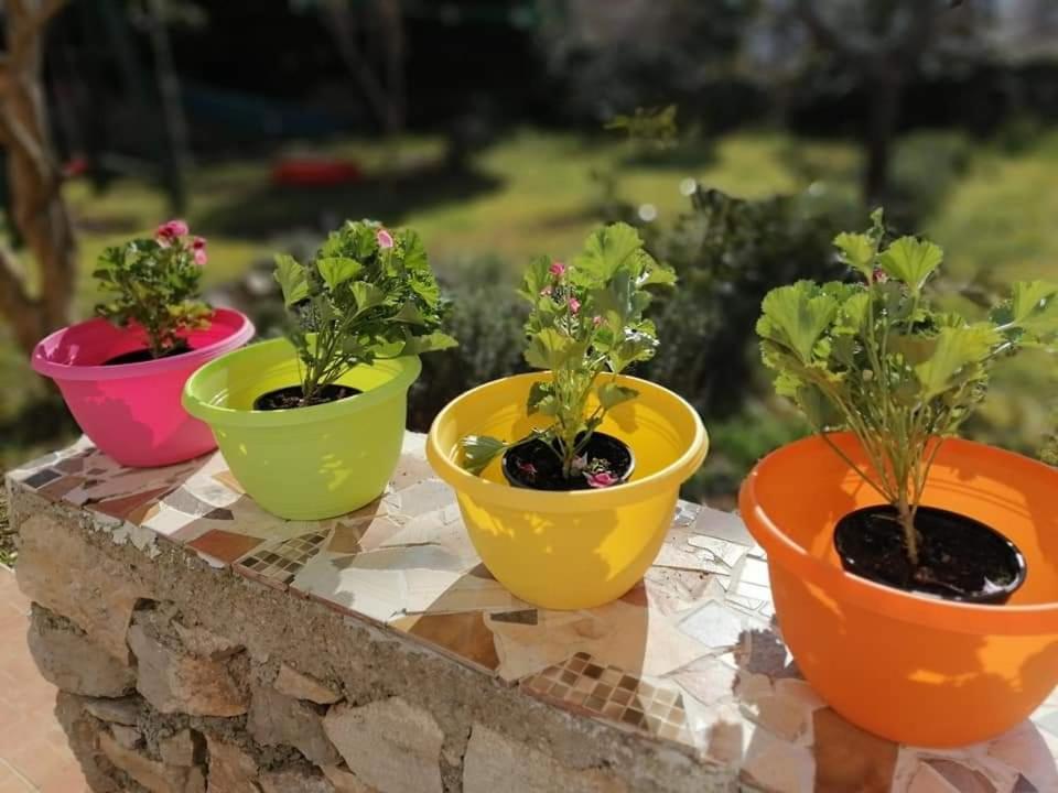 Apartmán Dairos Mali Lošinj Exteriér fotografie